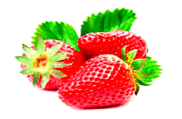 Blog Image
